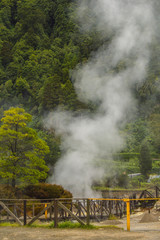 Fototapeta na wymiar Geothermal activity in Furnas village, Sao Miguel, Azores, Portugal