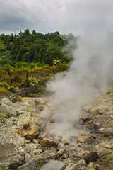 Fototapeta na wymiar Geothermal activity in Furnas village, Sao Miguel, Azores, Portugal