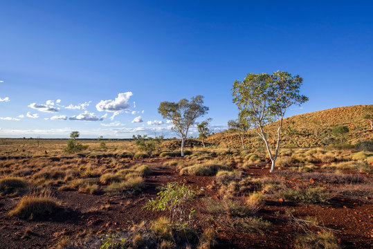Large meteorite crater at the outback Australia &ndash; Wolf Creek crater with spinifex grass and boulders and blue sky as background in the morning sun