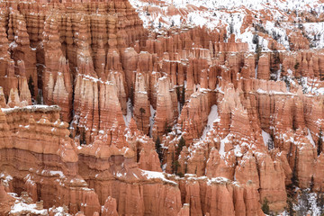 Close Up of beautiful snow covered mountains during the freezing winter period in Bryce  Canyon National Park, Utah, United States of America
