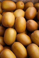 Gold kiwi, fresh products from farming. Pesticide residue free that is good for your health and refreshment. 