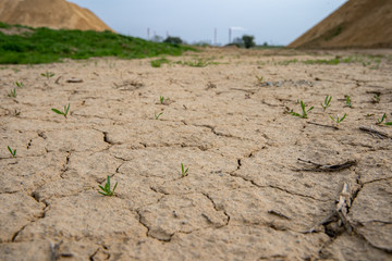 Cracked dried up soil in the summer period without rain