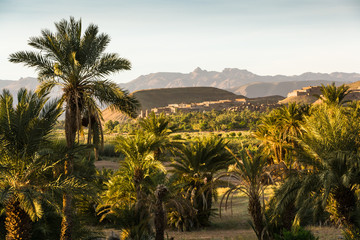 Fototapeta na wymiar Kasbah and Palmeria near Agdz, Morocco