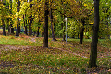Evening view of the park in autumn