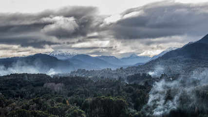 Obraz premium Drewno opałowe do krajobrazu