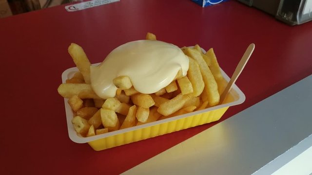 A tasty portion of Dutch fries: a thick layer of mayonnaise to garnish them and the disposable wooden fork tucked to the side on the right. 25fps