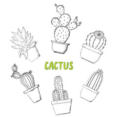 Cactus and succulents group. Vector hand drawn outline black and white sketch illustration. Isolated on white background