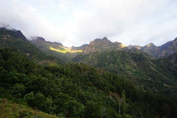 Sun, Clouds and green