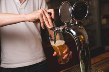 A male barman in a white T-shirt pours a glass of beer from a tap