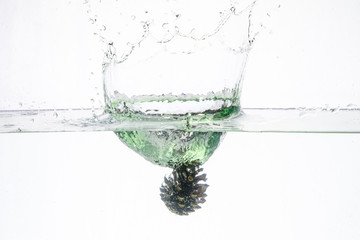 Water Splash Photography: a conifer cone falling in water creating a large splash on a white background