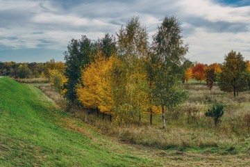 colorful grove in autumn next to a river embankment overgrown with lush green grass