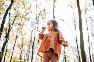 pretty little girl collects yellow leaves in autumn forest