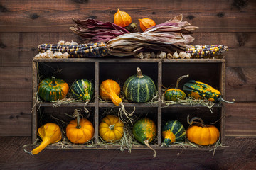 Colorful decorative gourds in a wood storage box mounted on dark wood planks wall
