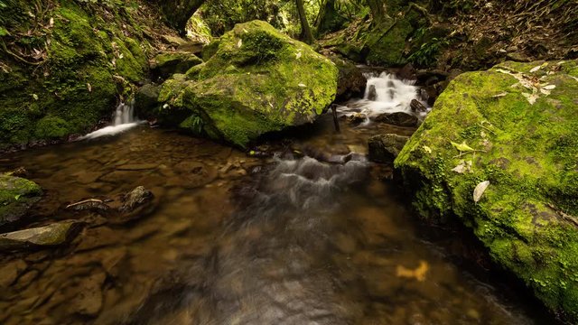 Time lapse of a New Zealand river in a forest amongst moss covered rocks and debris