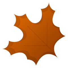 Autumn leaf image on a white background - Vector