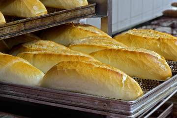 Shelves of French bread, the most consumed in Brazil