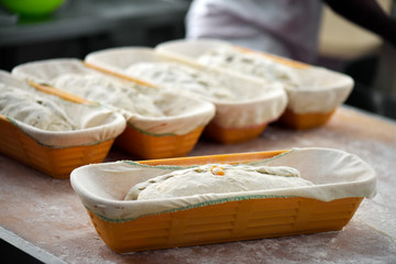 Organic breads in the form ready for the oven