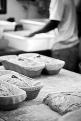 Organic breads in the form ready for the oven