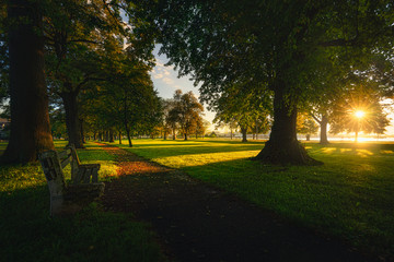 Obraz premium Summer in the park