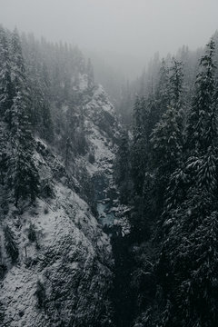 Snowy River In The Pacific Northwest