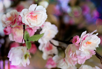pink flowers in garden