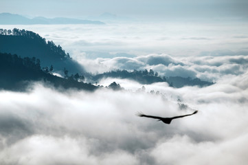 flying  over the mountain 