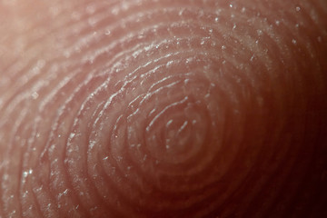 Macro shot of a man’s finger. The grooves forming the pattern. A unique skin pattern on the...