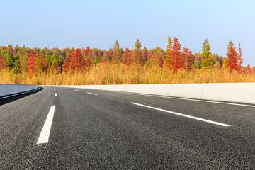 Empty asphalt road and beautiful colorful forest in autumn