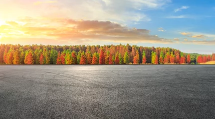  Empty race track ground and beautiful colorful forest landscape in autumn © ABCDstock