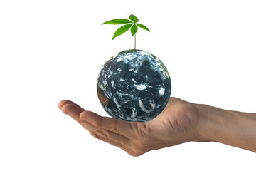 Human hand holding the planet Earth with a small tree on top