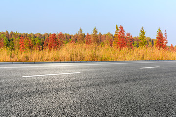 Empty asphalt road and beautiful colorful forest in autumn