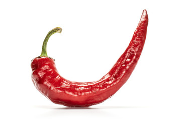 One whole horn like fresh hot pepper isolated on white background