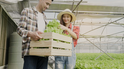 Asian farmer Couples are walking happily watching hydroponic plots that grow vegetables. And collected for food Which does not contain toxins from pesticides Concept of care and eating healthy food