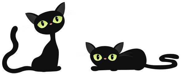 Two black cats