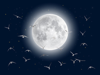 Silhouette of a flock of birds flying to the moon