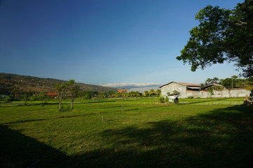 Obraz premium Beatiful Landscape In Lovina Bali