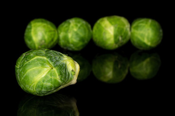 Group of five whole fresh green brussels sprout isolated on black glass