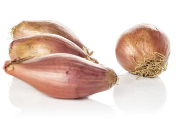 Group of four whole fresh brown shallot isolated on white background