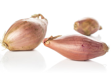 Group of three whole fresh brown shallot front focus isolated on white background