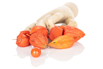 Lot of whole fresh orange physalis with wooden hand isolated on white background
