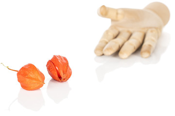 Group of two whole fresh orange physalis with wooden hand isolated on white background