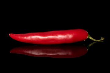 One whole hot red chili cayenne isolated on black glass