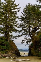 Fototapeta na wymiar Towering trees on rock outcroppings create scenic opening at coastal beach at Long Beach National Park, Tofino, British Columbia, Canada 