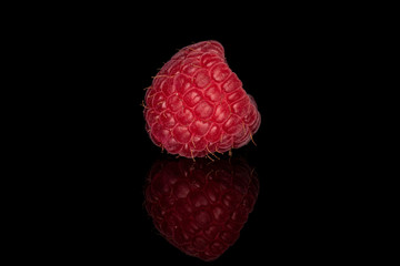 One whole fresh red raspberry isolated on black glass