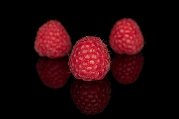 Group of three whole fresh red raspberry isolated on black glass
