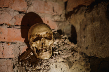 The skull in the dark basement is illuminated by harsh light. Terrible picture of a layout of a skull for Halloween.