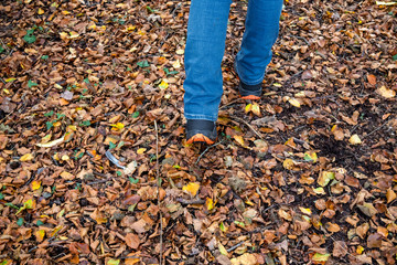 Obraz premium Person walking through woodland path in autumn with fallen leaves of autumnal colours