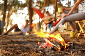 Roasting of marshmallow on fire in camp