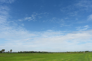 Blue sky background with green fields and white clouds.