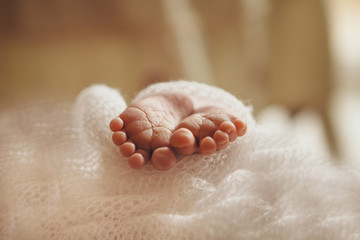 Baby's feet, fingers close up. newborn baby legs, massage concept of childhood, health care, IVF, hygiene